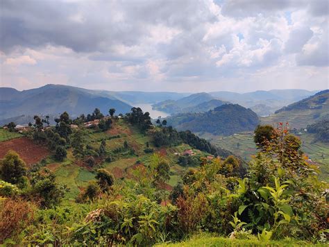 bamboo ecotours
